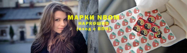 гашик Богданович