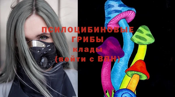 эйфоретик Богородицк